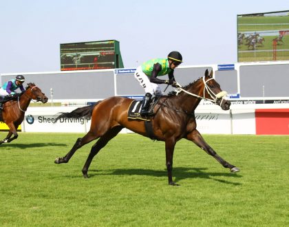 سباق الخيول في جنوب أفريقيا