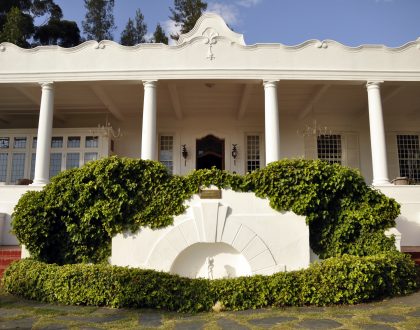 WELCOME TO PINOTAGE HEAVEN