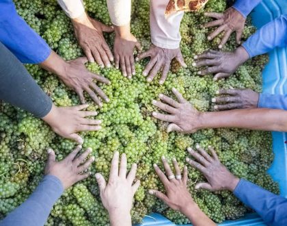 Harvest Festival